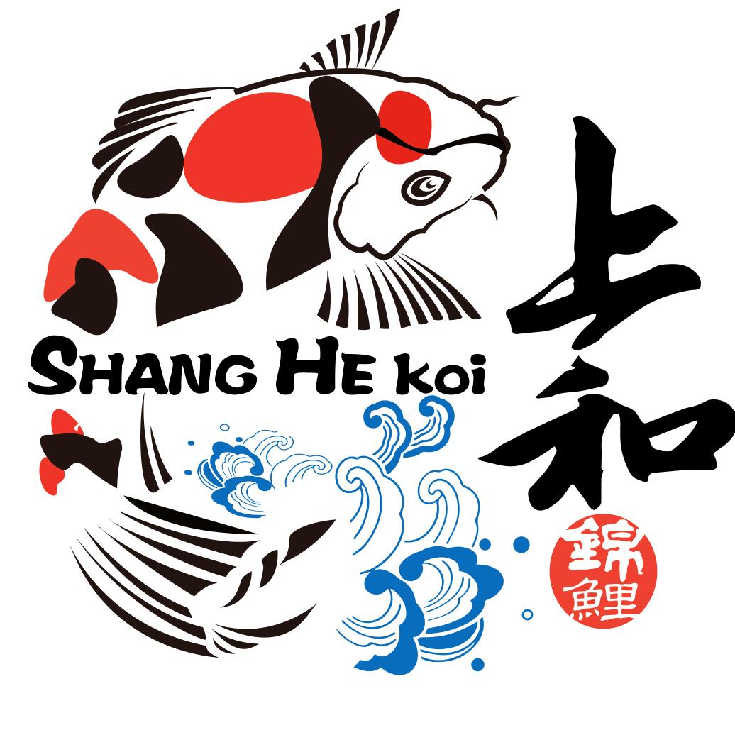 上和锦鲤