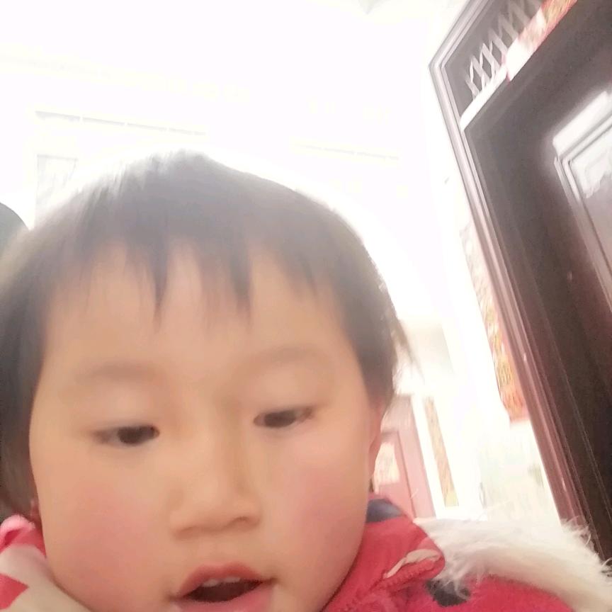 挪威森林②