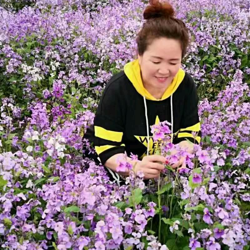 天天开心，天天快乐