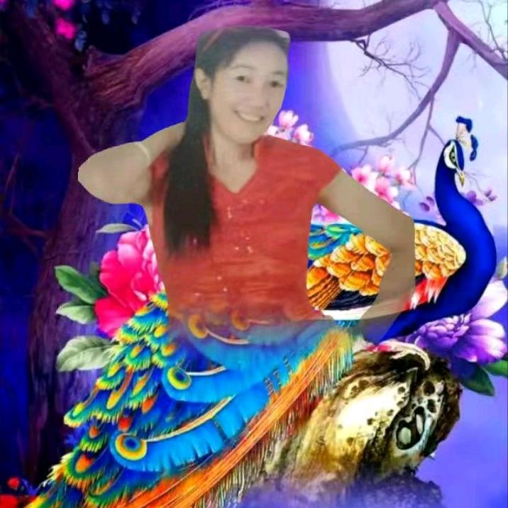 玫瑰姐姐