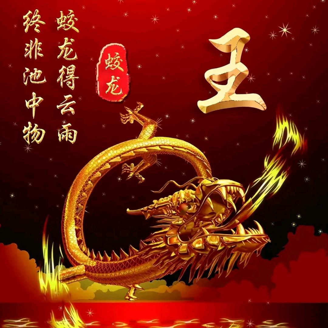 👑老👑王👑哥👑哥👑