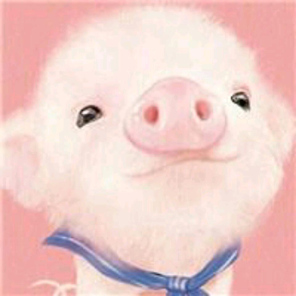 野蜂蜜闻起来像自由