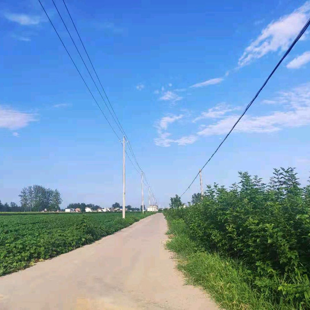 他乡客