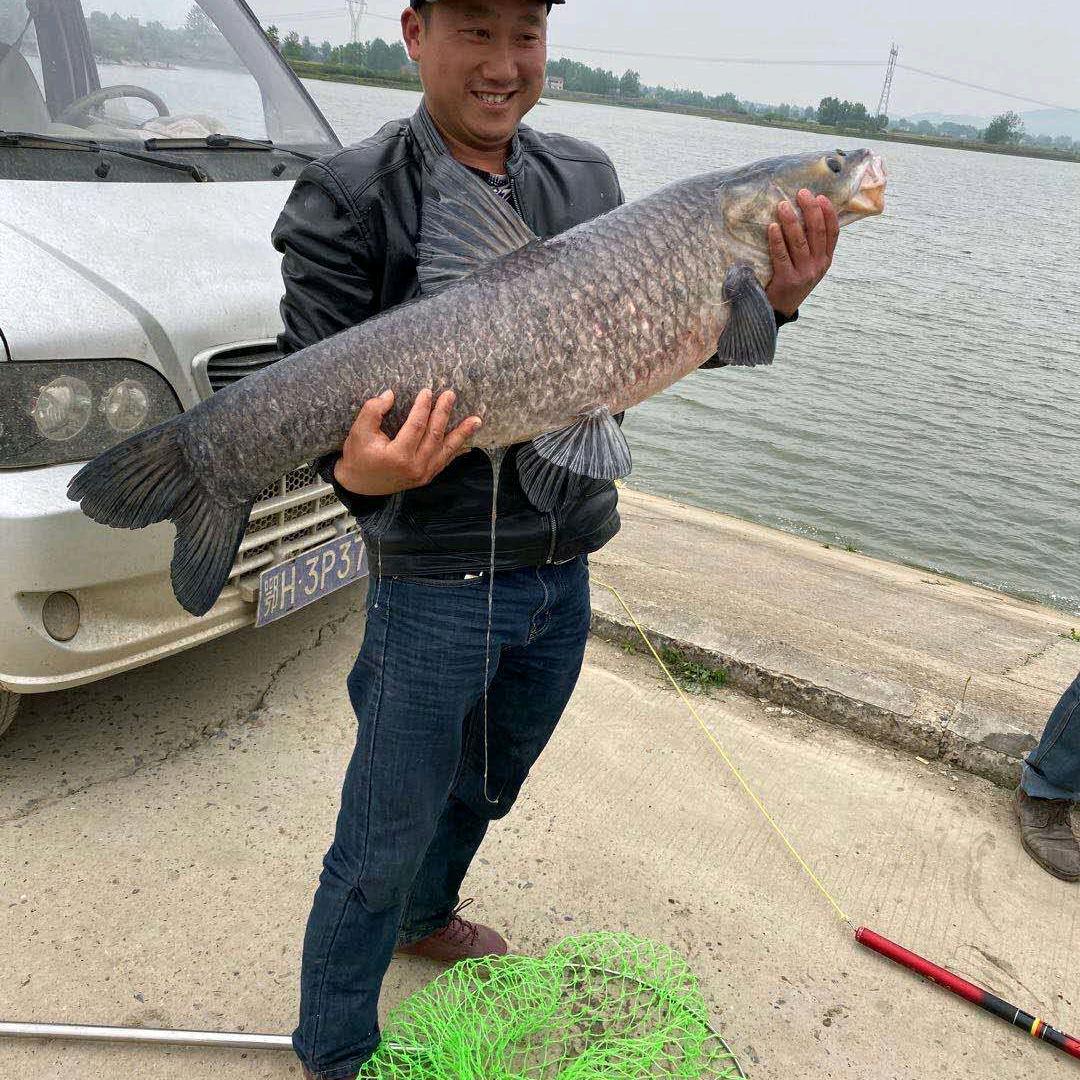 杨二毛野钓杀手，🐠🐠🐠🐠🐠