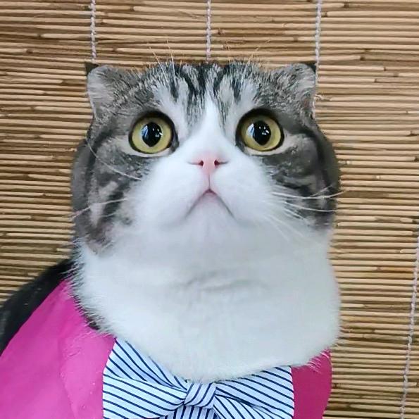 妖怪家