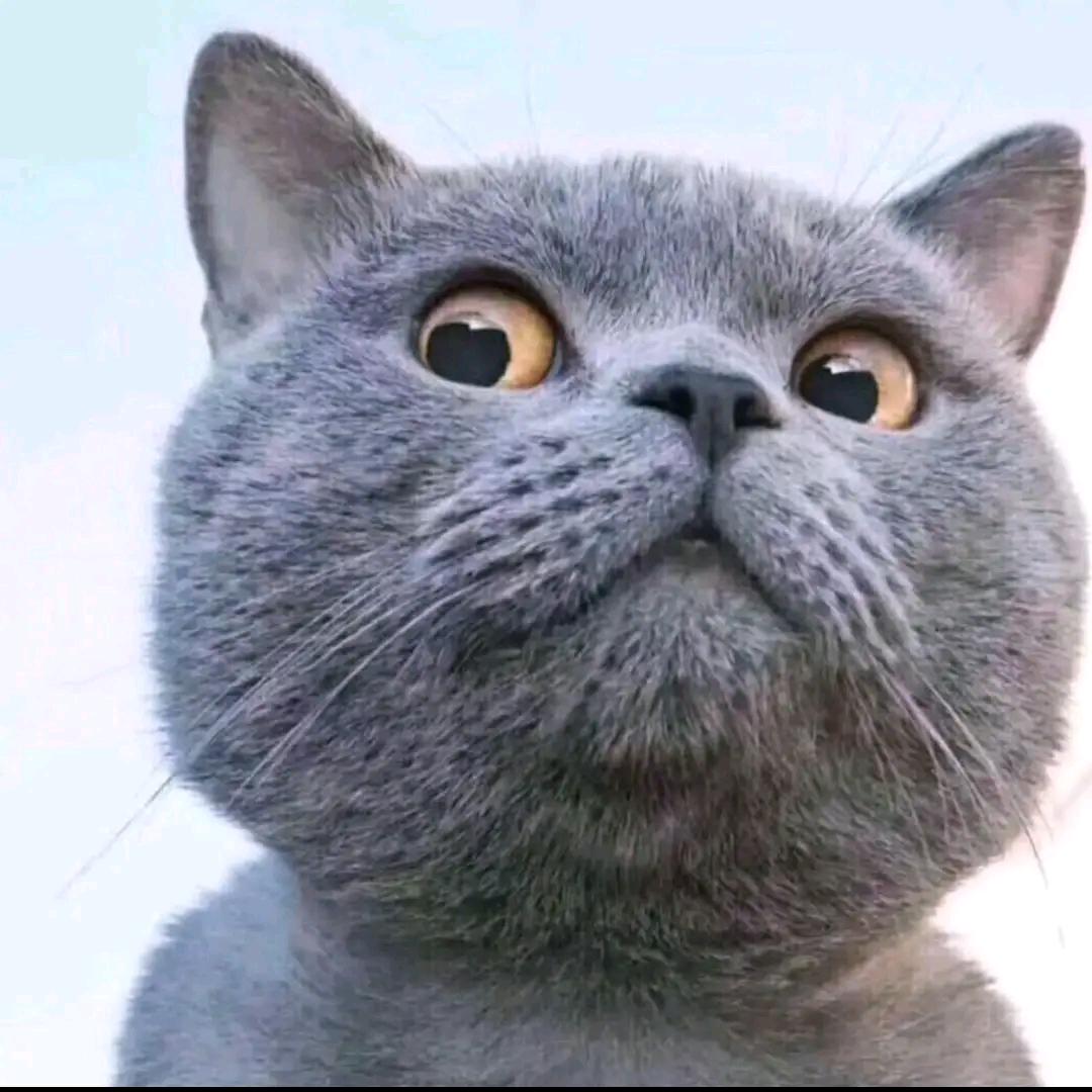 🌈临时郁闷👿