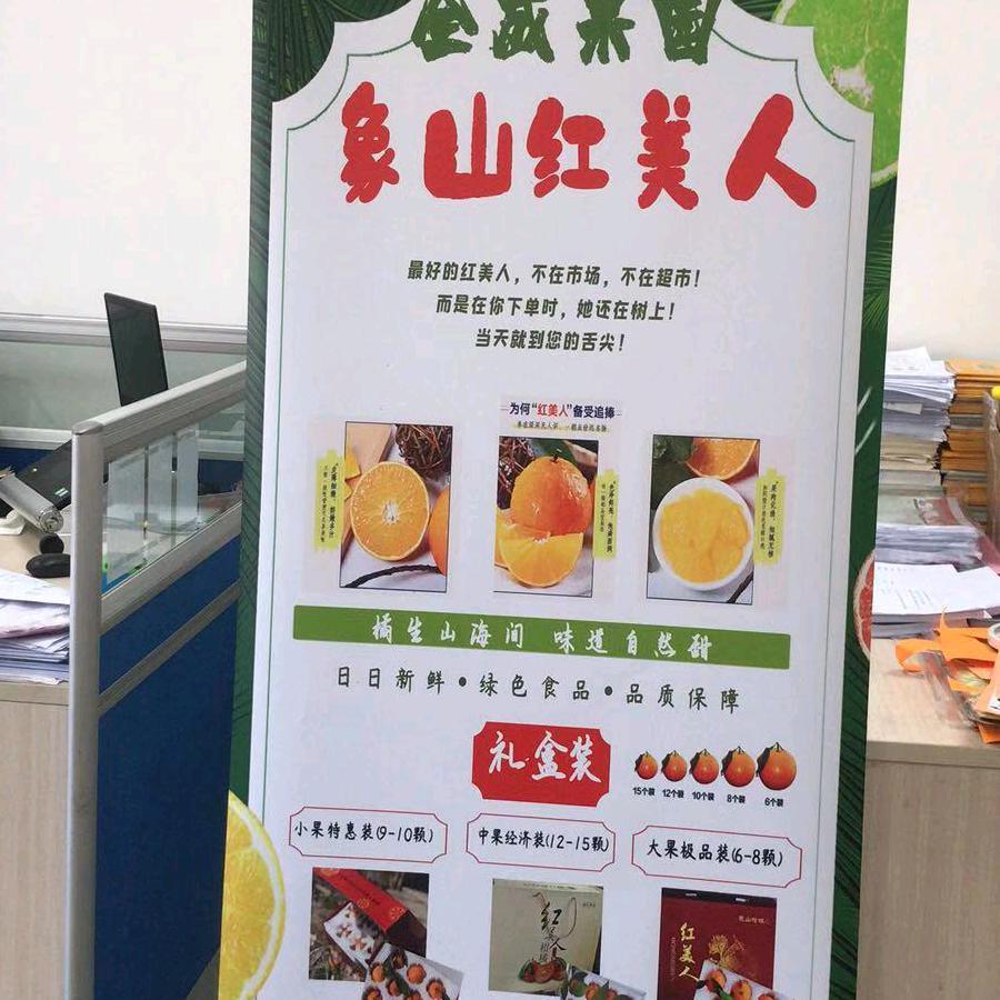 虫开心？(奚丿