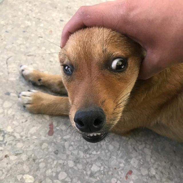 倮 撩 被 骗 三 十 万