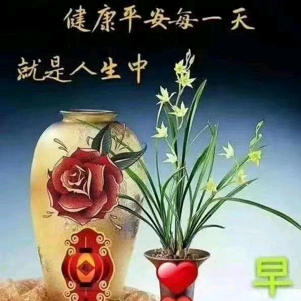 芬