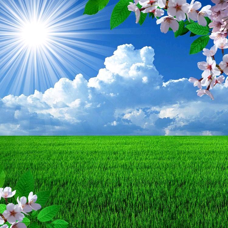 向日葵影视z@抖音