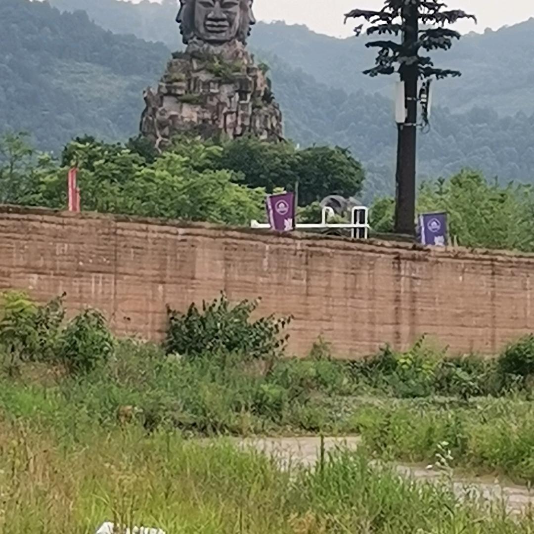 用户9878075259026