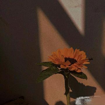 养生别苑