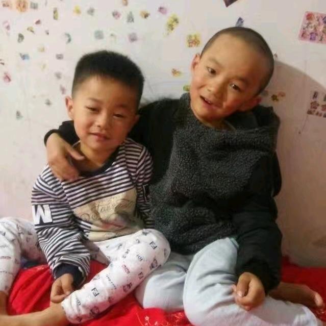 灵芝（记录日常）