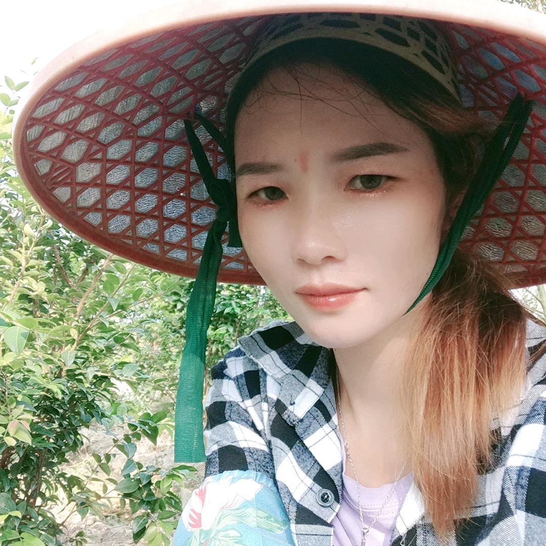 奇闻果树苗木专营店
