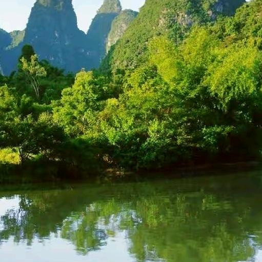 骑着毛驴上高速