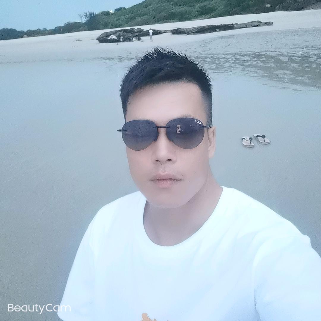 豆涛