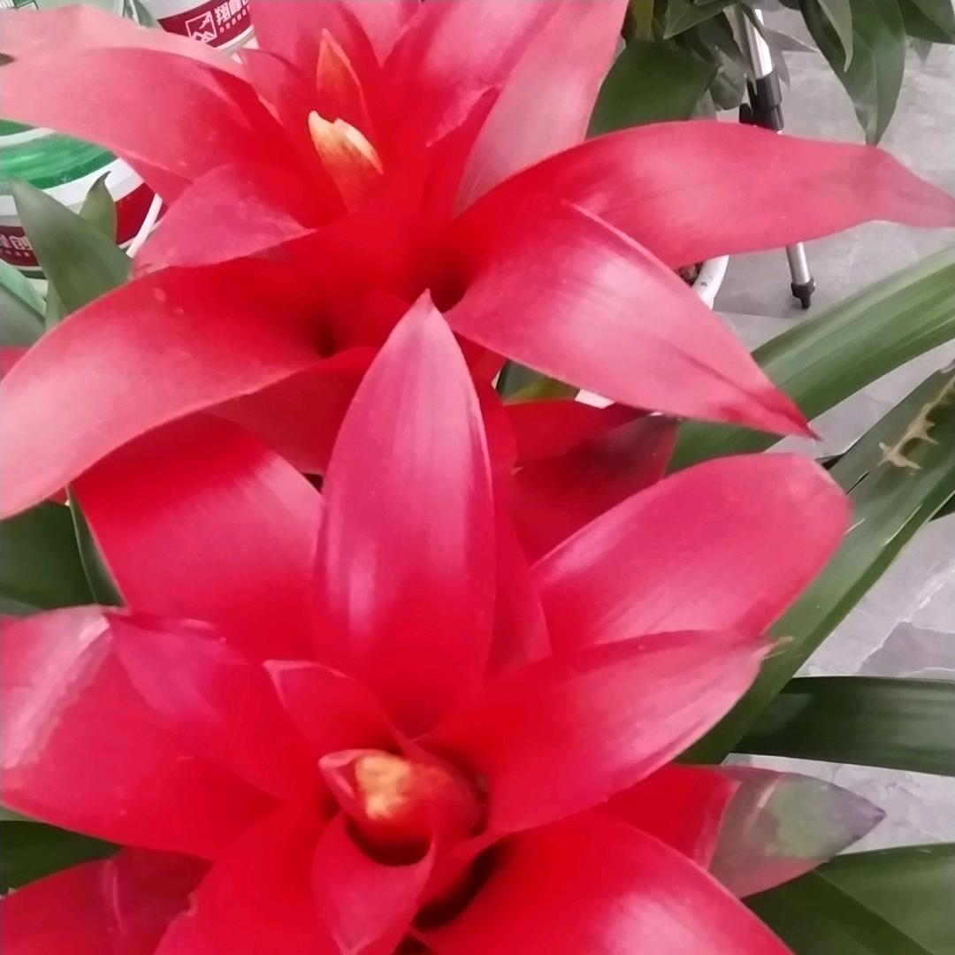 开心就是幸福😊