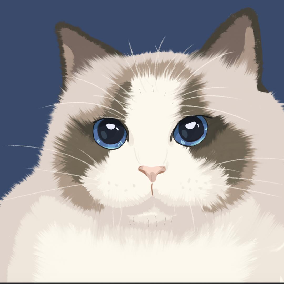 猫也不知道