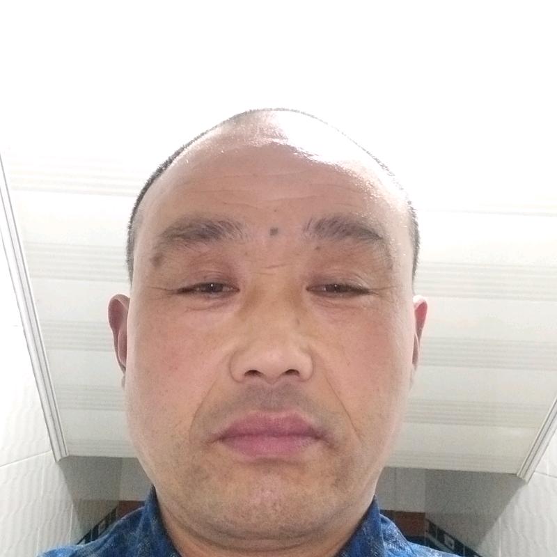 吴应平
