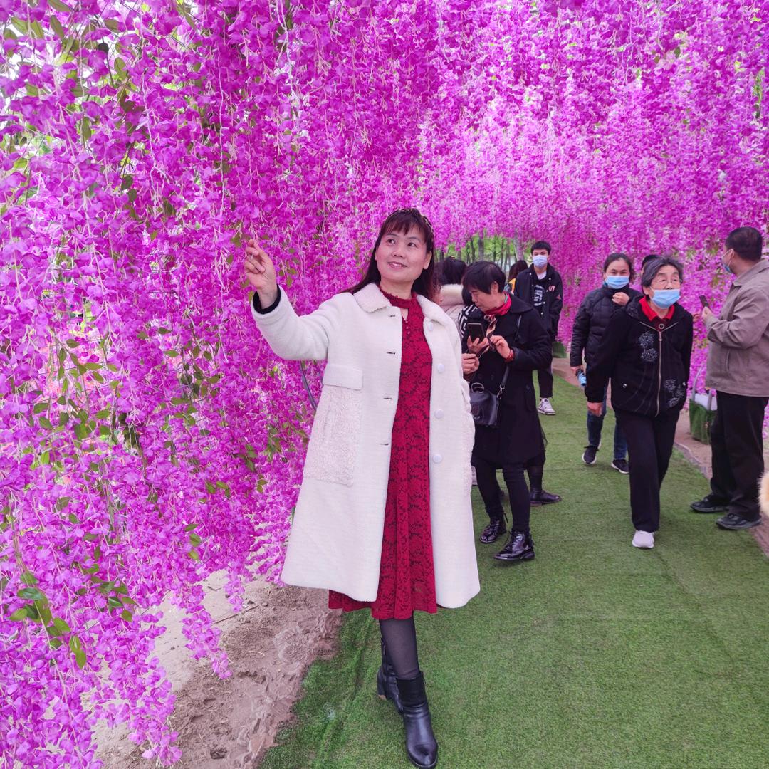 花好月圆圆