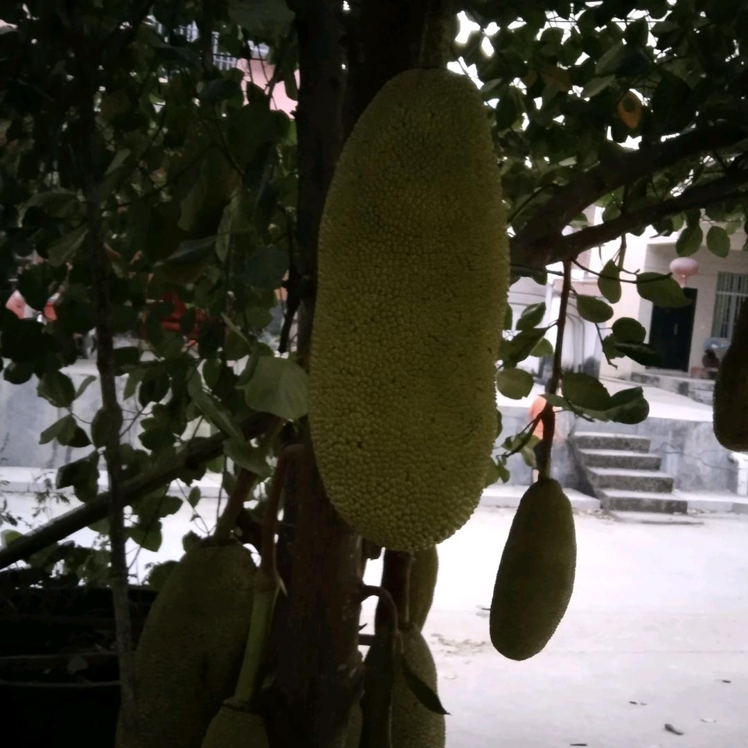 一生有你的