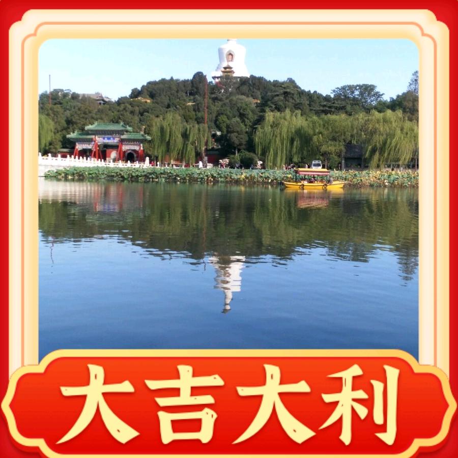 震北龙