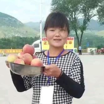 何文芹