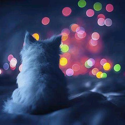 有所谓℡无所谓💍