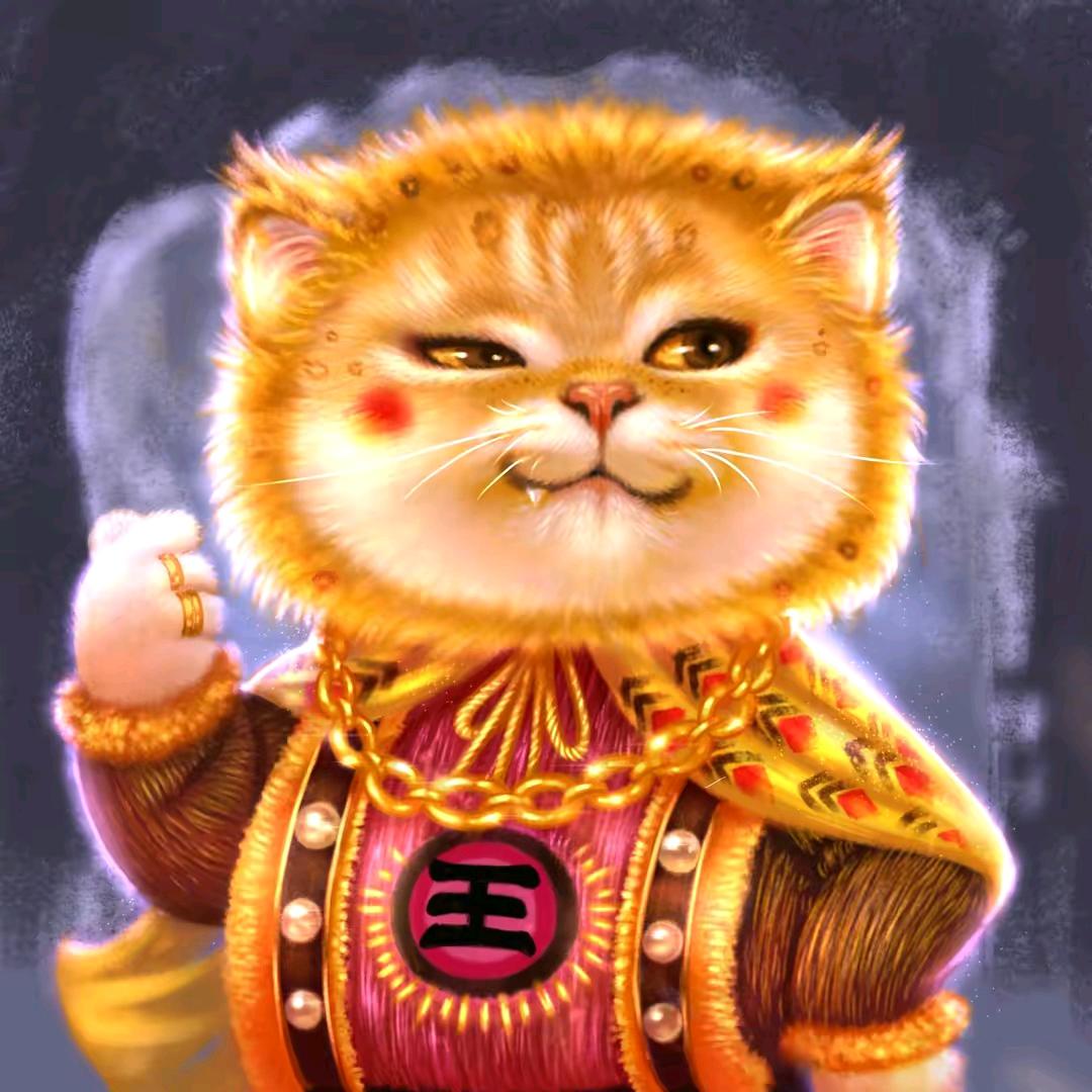 momo不当咸鱼了头像