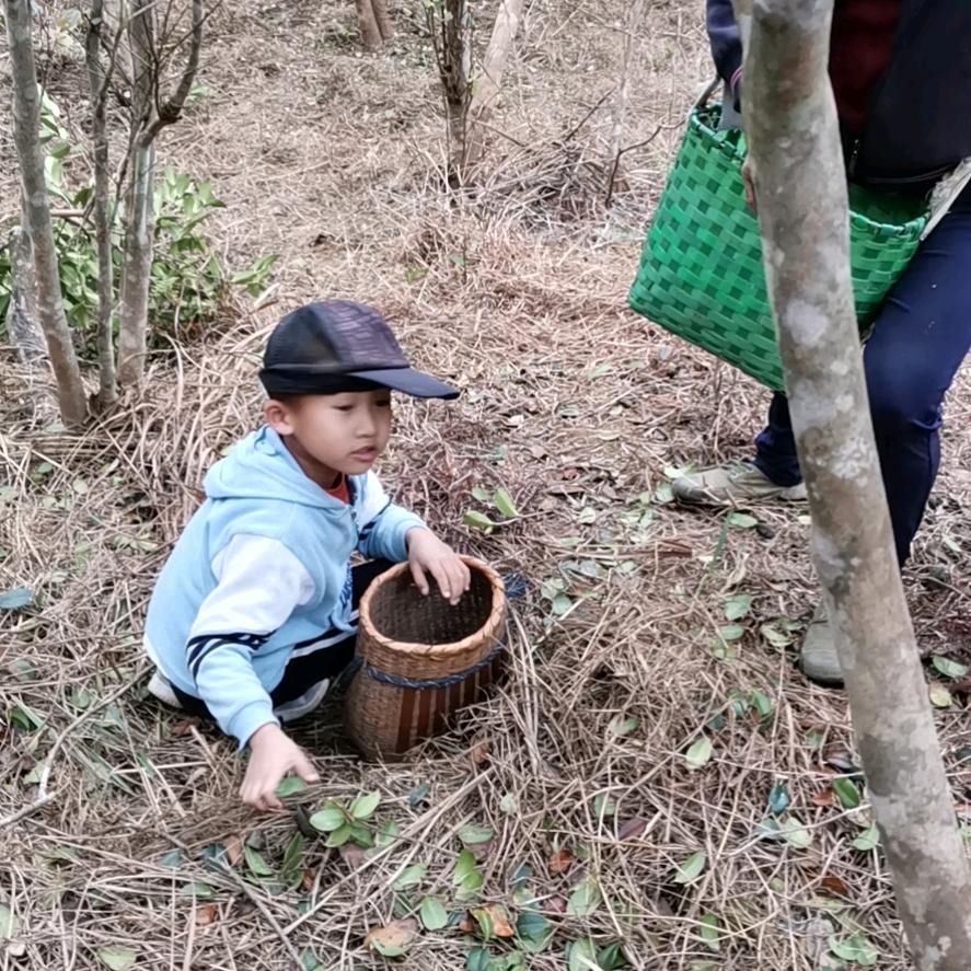 麦牙糖先生头像