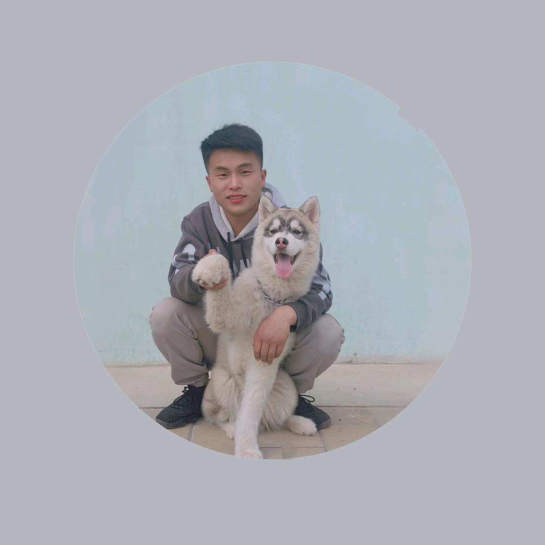 长沙训犬师-阿飞