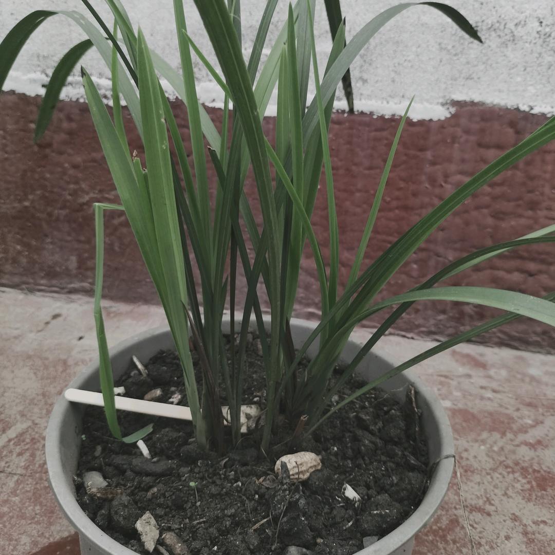 生活不易