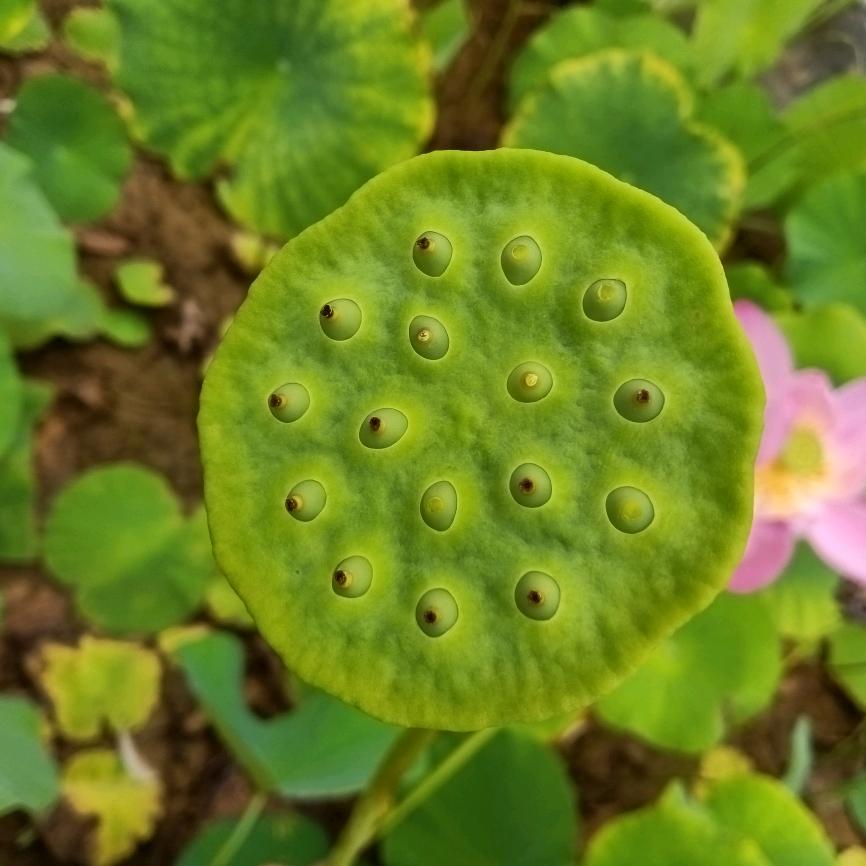 平凡人生