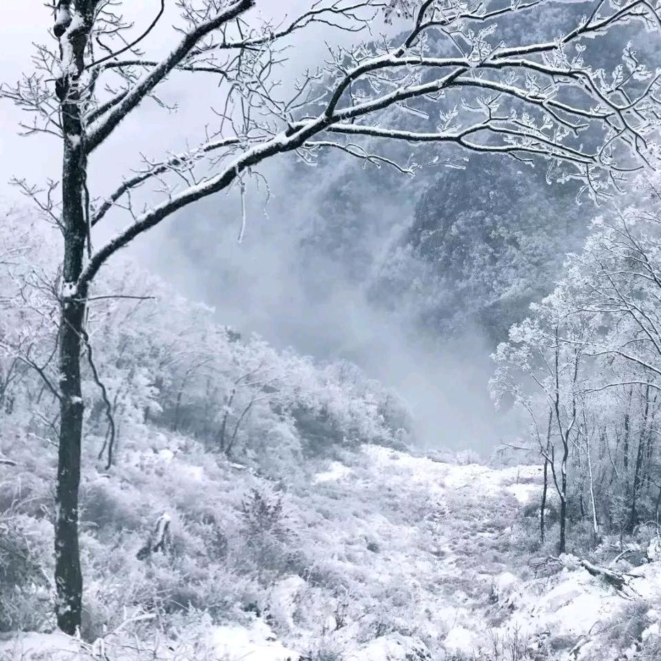 千山暮雪