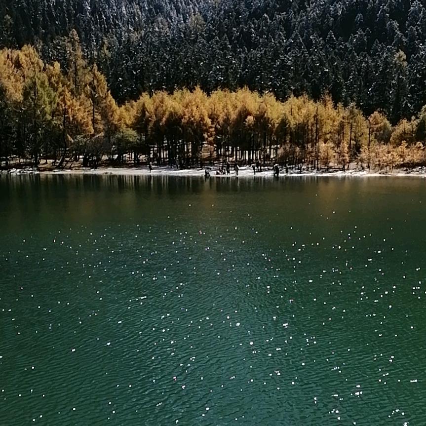 ～～李阿姨～～