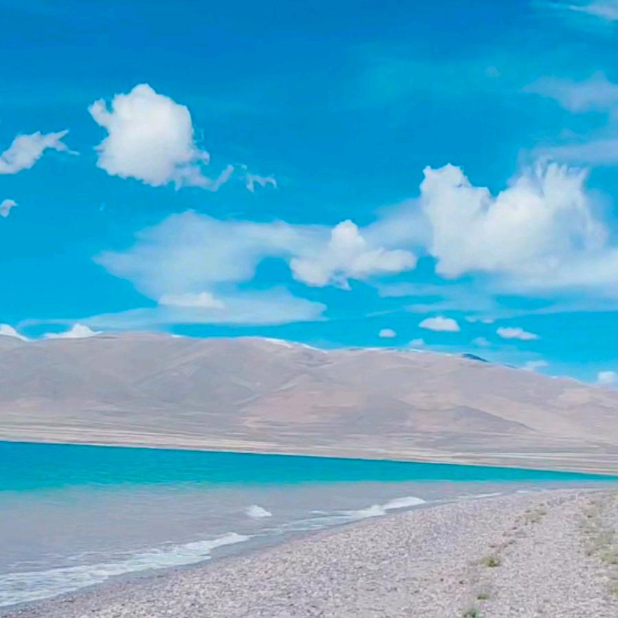 ☕豆浆加盐‼(•'╻'• )꒳ᵒ꒳ᵎ