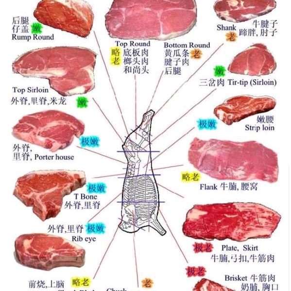 北方的狼