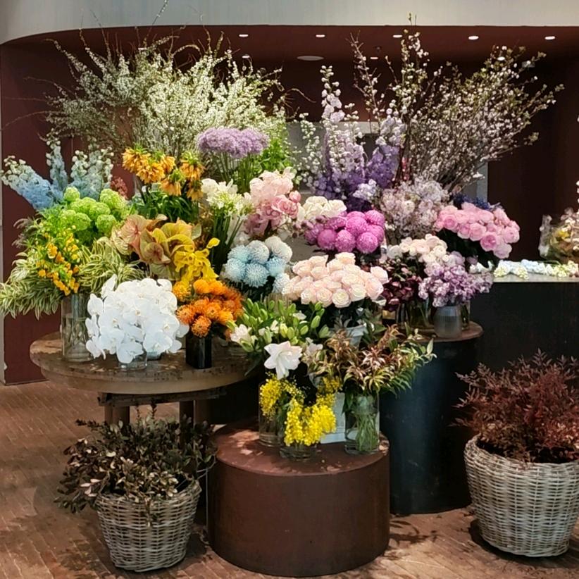 招招积积的积臣