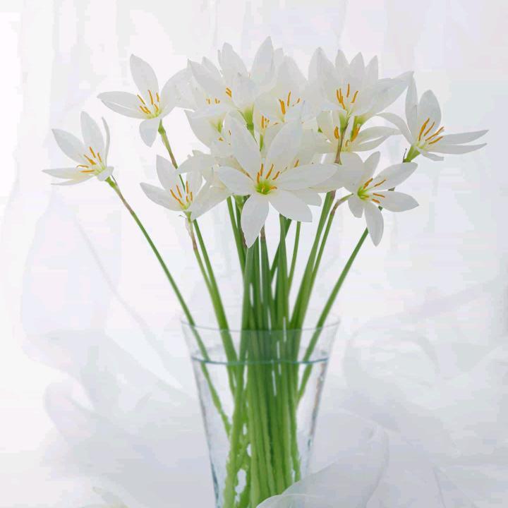 《众安应急救援》周明