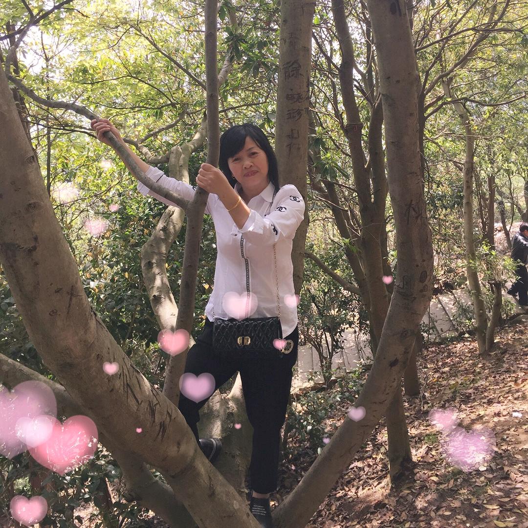 王香兰