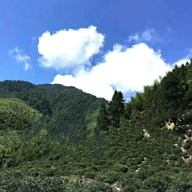 @金华房探
