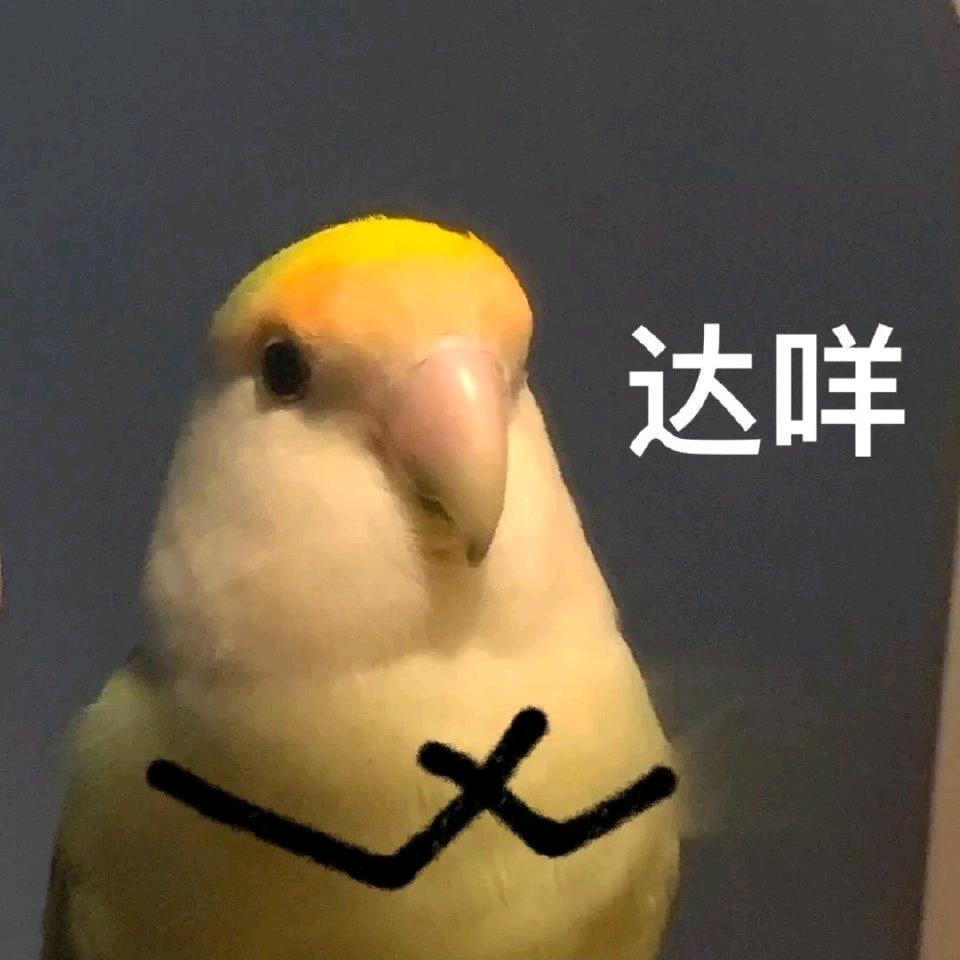 哈哈哈哈哈～