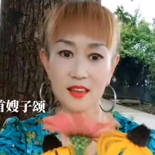 雪莲花