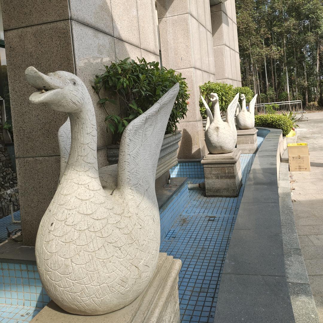 万树繁华