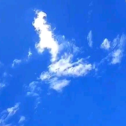 甲乙丙