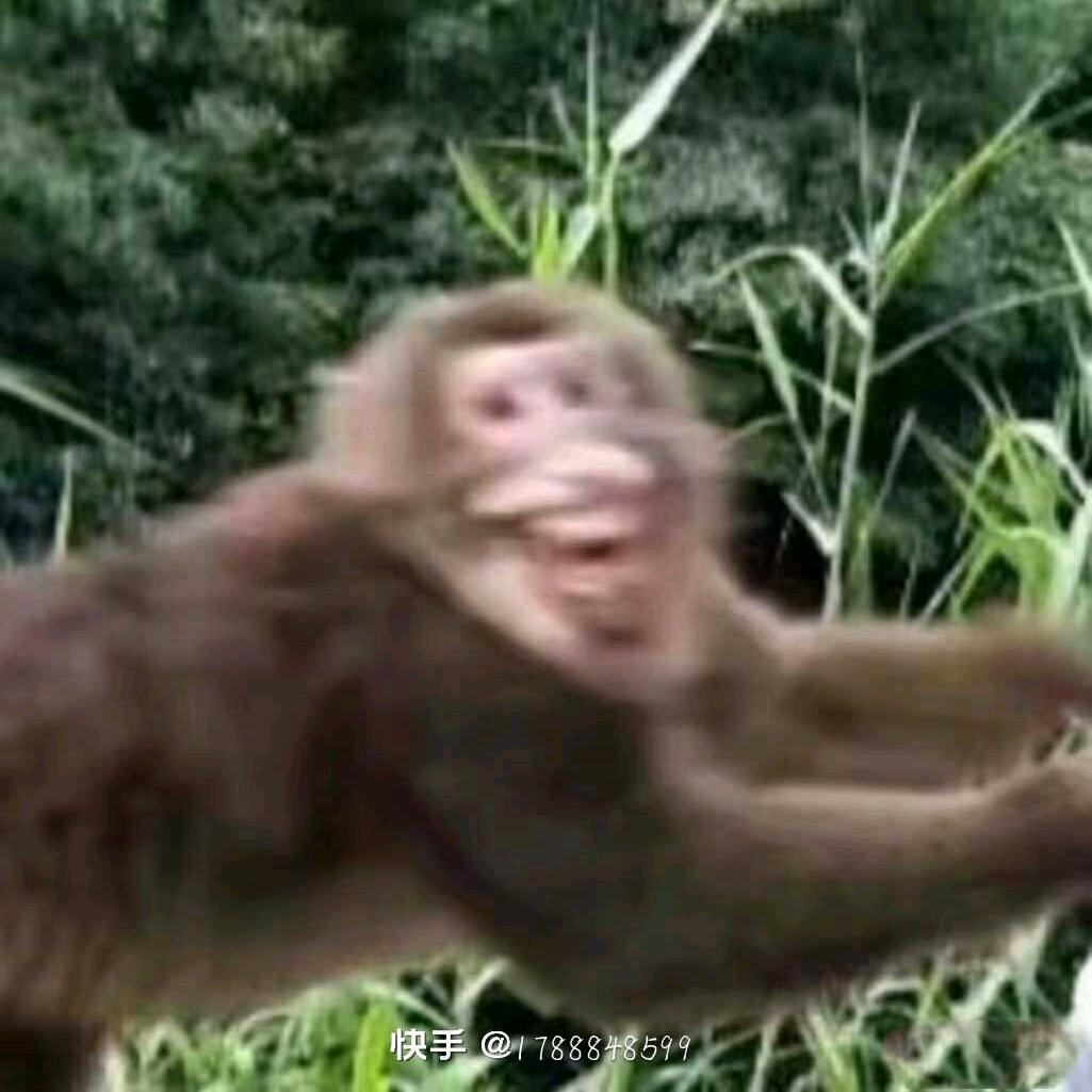 江辉👿