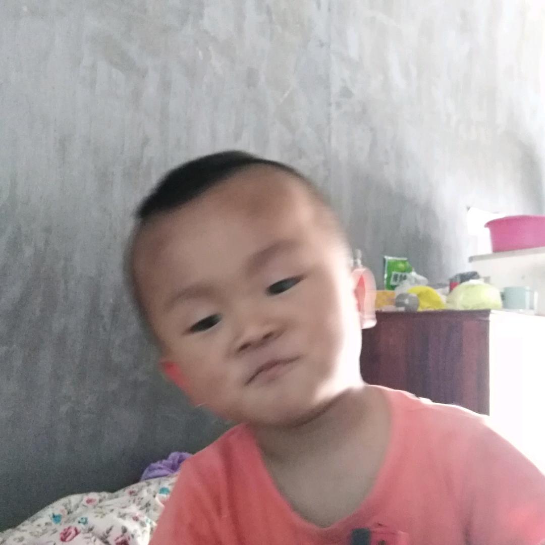 老芦