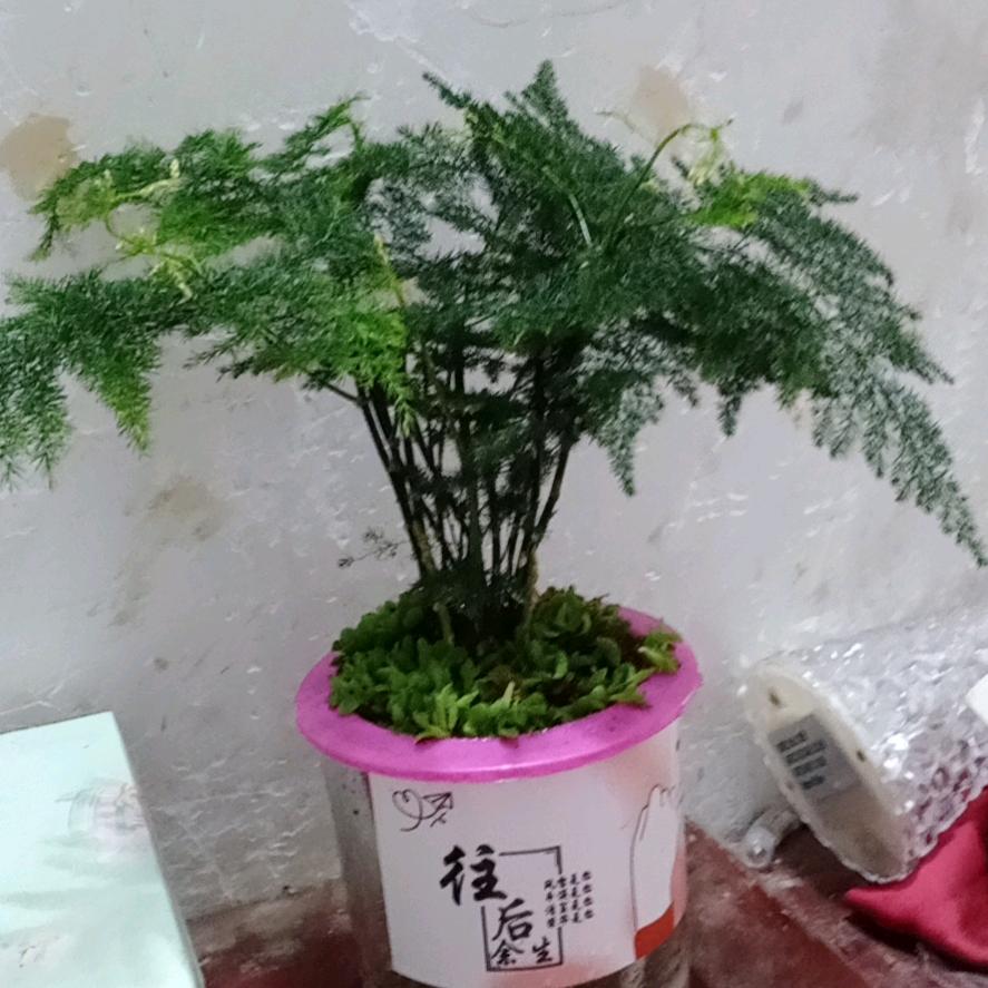 爱已打烊
