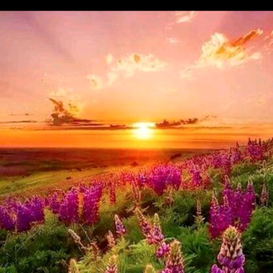 快乐人生🔥不定时直播