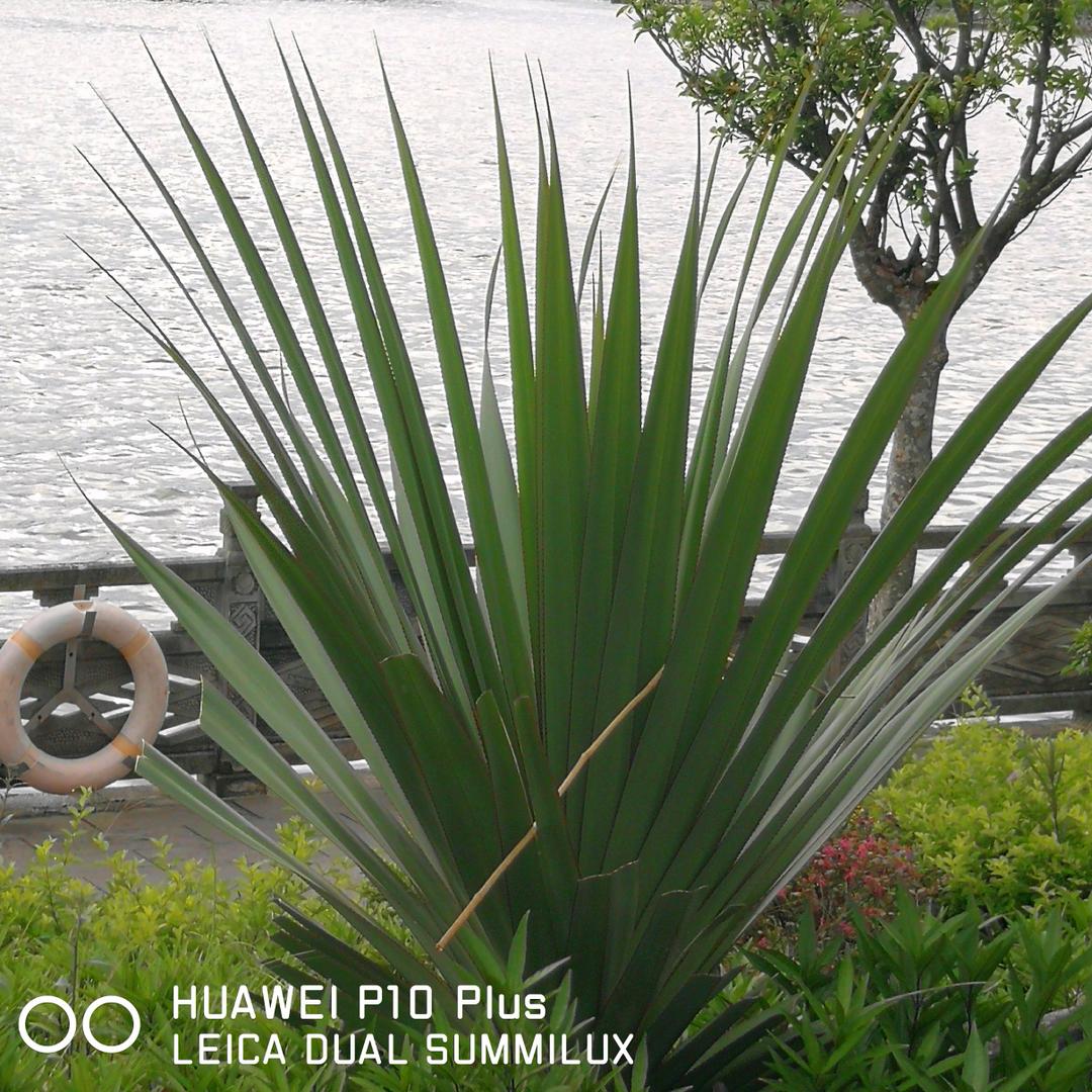 童言无忌————阿周